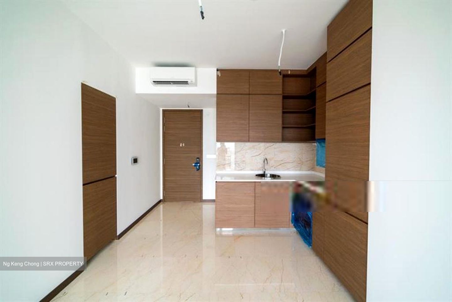 Queens Peak (D3), Condominium #558541701